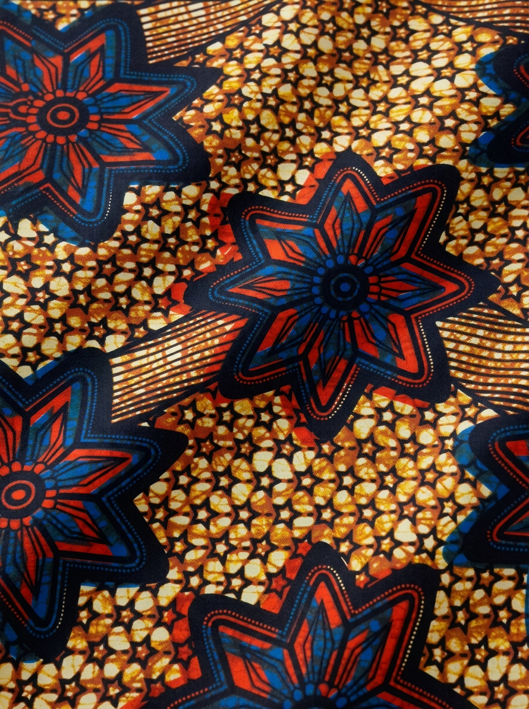 Blooming flowers on Sun lit stones